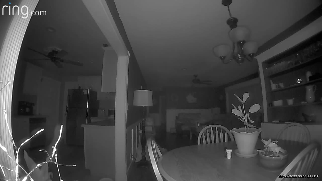 😨👻 Dark Figure Walked Through My Hallway | TheHauntingHour