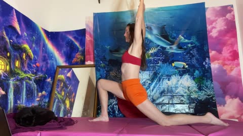 Summerset - Everyday Yoga #everydamnday @AlanRoberts