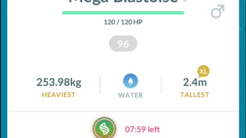 Pokemon Go Mega Evolution: 96% iV Blastoise