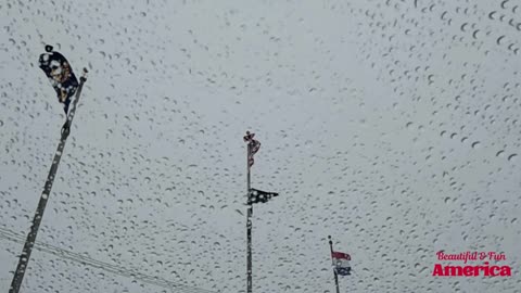 The Rolling Stones WINTER & Black Sabbath SNOWBLIND