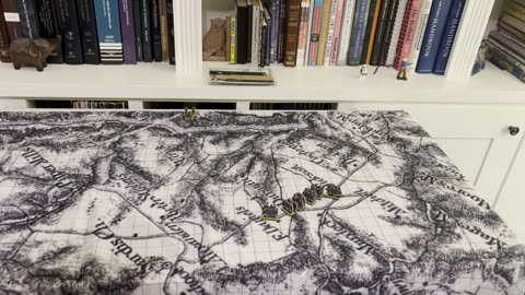 Using a Custom Topographic Map for Miniature Wargaming