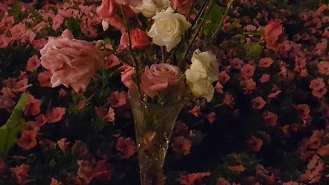 "Saturday Night Roses." -Western Michigan Wastelands Flower Authority