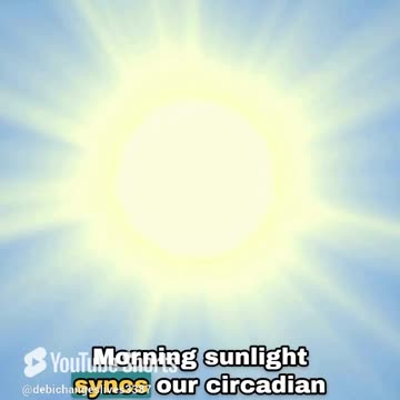𝗜𝘀 𝗖𝗶𝗿𝗰𝗮𝗱𝗶𝗮𝗻 𝗥𝗵𝘆𝘁𝗵𝗺 𝗜𝗺𝗽𝗼𝗿𝘁𝗮𝗻𝘁?🌅𝗥𝗲𝗰𝗹𝗮𝗶𝗺 𝘆𝗼𝘂𝗿 𝙗𝙤𝙙𝙮’𝙨 𝙡𝙞𝙛𝙚 𝙧𝙝𝙮𝙩𝙝𝙢.