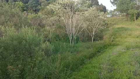 Passeio_Caminhada_pelo_Campo_Fevereiro25_02