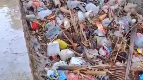 This is Asia. Then in Europe they force us to buy electric cars to avoid pollution.