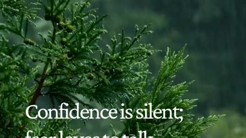 Confidence Doesn’t Need to Prove Itself — Only Fear Does