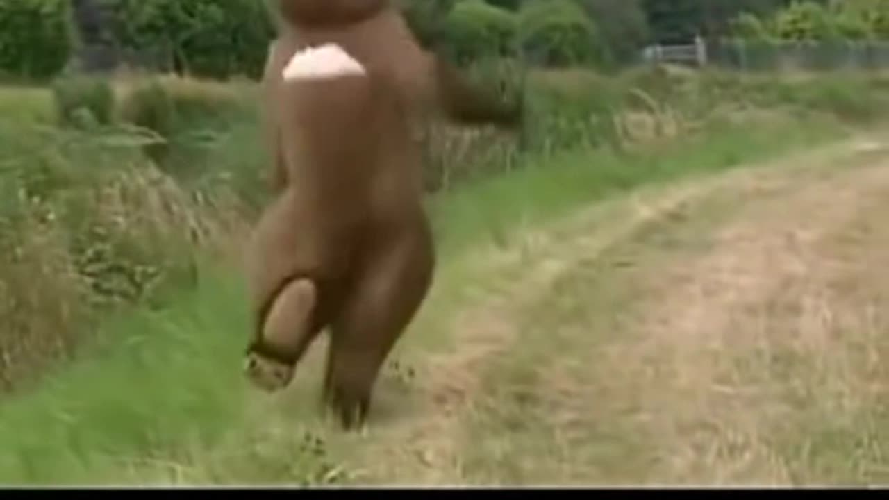 Love this comedy sketch