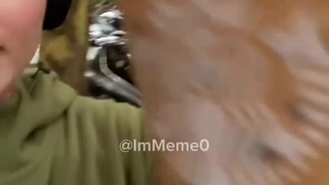 Pro-Palestine supporter proudly posted a video stealing coffee from Starbucks,