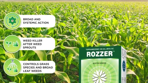 Top Crop Protection Solutions for Pest Control | Agrochemicals