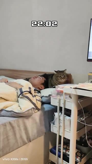 Cats always get what they want 😂