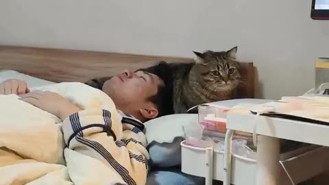 Cats always get what they want 😂