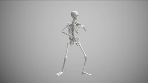 Dance Peformance 