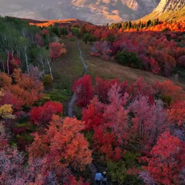The peak fall foliage in Provo Canyon, Utah,