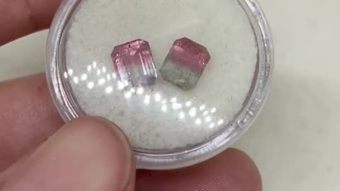 Small pink / plat zoned bi colors