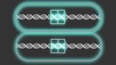 Synthetic Biology Explained