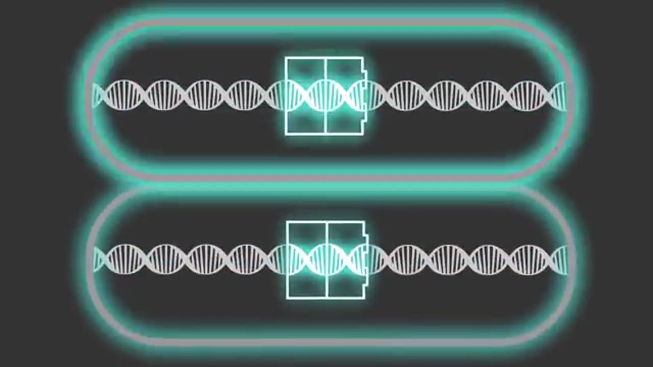 Synthetic Biology Explained