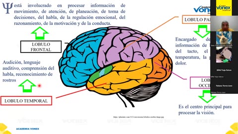 VONEX SEMIANUAL 2023 | Semana 05 | Psicología