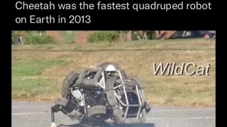 🤯⚡ Is This Actually Fast? You Decide! | FunFM