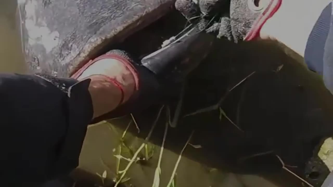 Manual Fishing