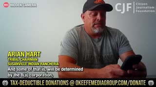 $100 Billion Federal Contracting Scam Exposed: 8(a) Firm Admits to Violating Federal Law