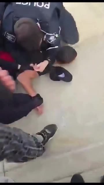 Students ditch school to "protest," then start swinging on police officers.