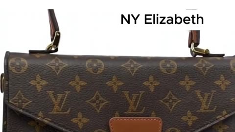 LOUIS VUITTON CONCORDE Hand Bag