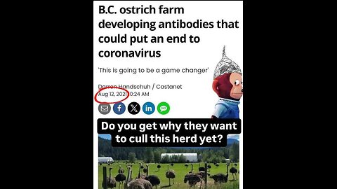 The Canadian government slaughtered 300 perfectly healthy Ostriches after scientists discovered Ostrich eggs have magical ANTIBODIES capable of CURING an unknown numbers of life ending illnesses.