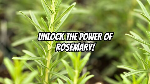 Rosemary Secrets: From Hair Rescue to Total Wellness