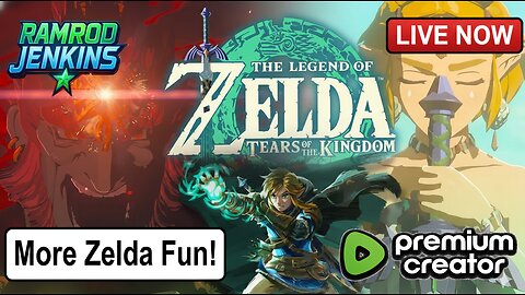 Zelda fun during Winter Storm Fern! Rumble Premium Creator! USAF Veteran!