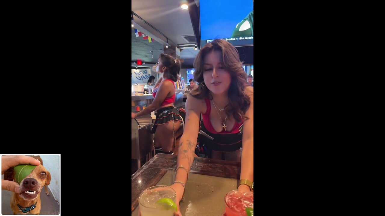 Funny videos compilation 12