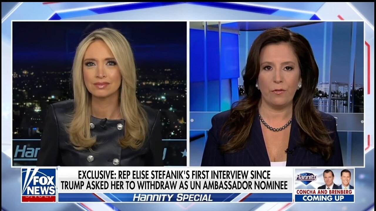 Rep Elise Stefanik: Democrat Party Is Imploding