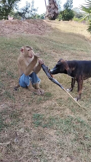 Amazing Best SokYalla, OG, Pao & Mom Are Famous Job Best SokYaa, OG, Pao & Mom Are Famous Around Th