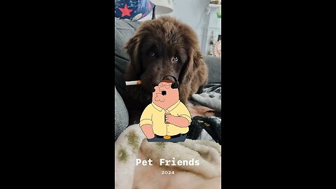 Wanna Be💯 #dog #dogs #puppy #goldenretriever #reels