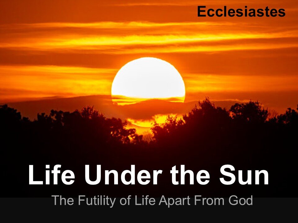 Life Under the Sun -part 1