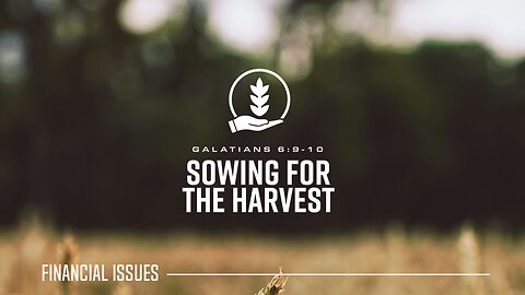 Sowing for the Harvest: Your Gift Makes the Harvest Possible