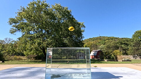 Slow Motion Lemon Drop / Splash