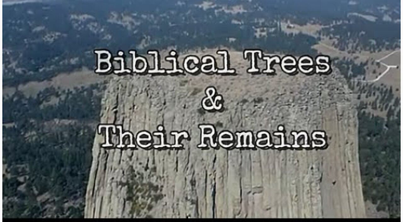 BIBLICAL TREES & THEIR REMAINS - FLAT OUT TRUTH (Terry R Eicher)