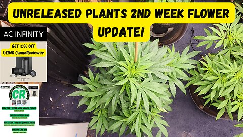 CR's 2024 Fall Grow Unreleased Seeds/Plants 2nd Week Flower Update!