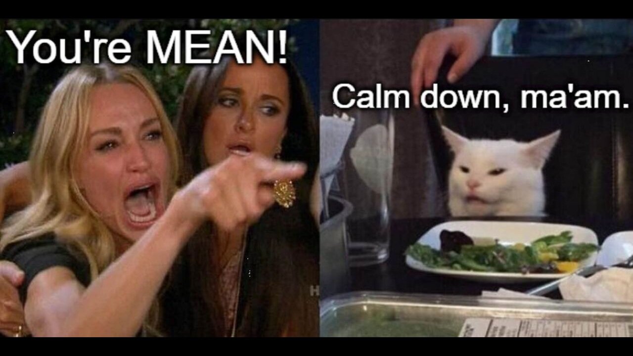 This Is Why Everyone Hides When The Woke Cousin Shows Up To Thanksgiving