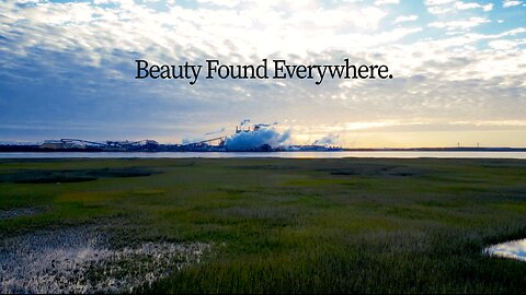 Beauty Found Everywhere