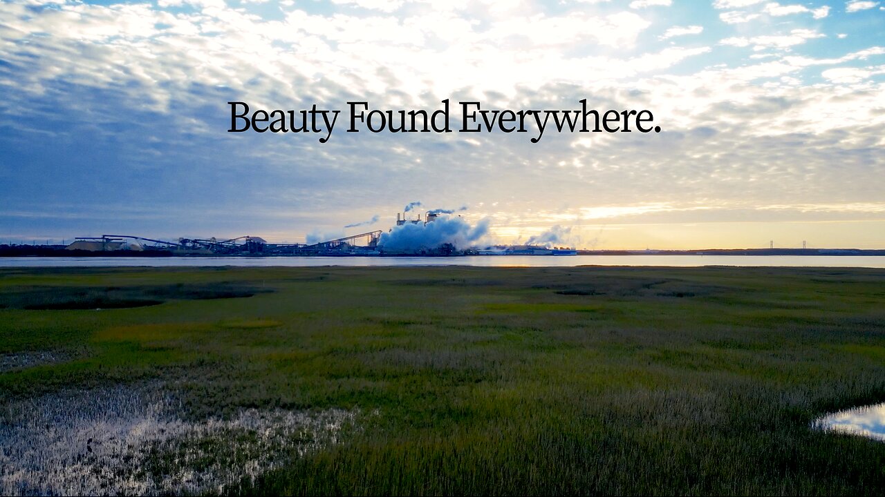 Beauty Found Everywhere