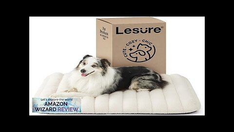 Lesure 4 Inch Thick Orthopedic Foam Dog Bed for Large Dogs Waterproof Review