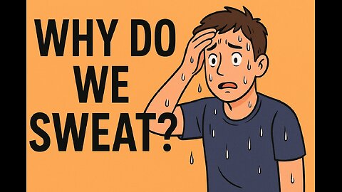 WHY DO WE SWEAT?