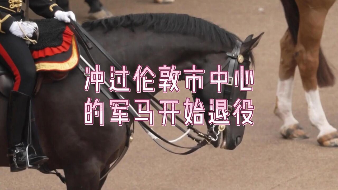 冲过伦敦市中心的军马开始退役