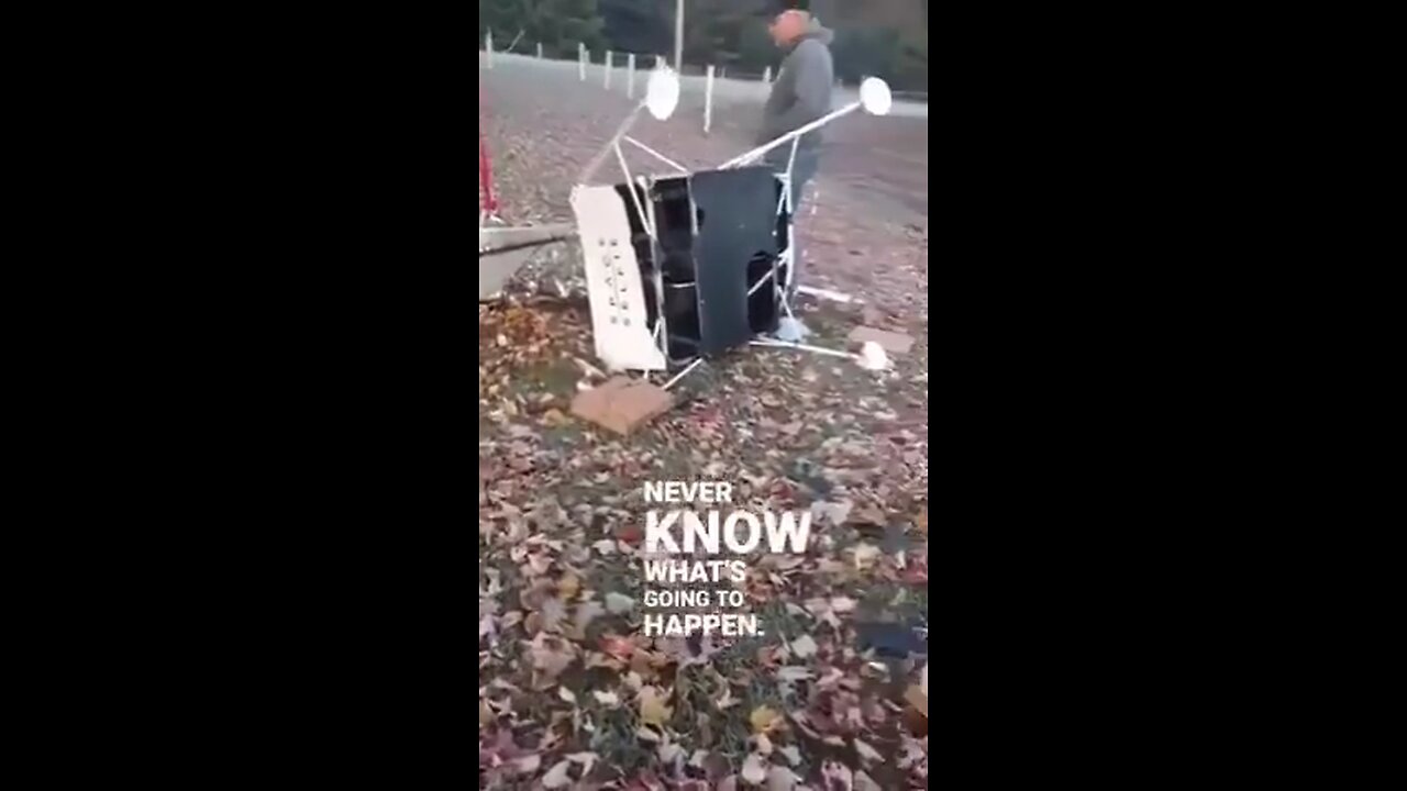 NASA Lawn Ornament...