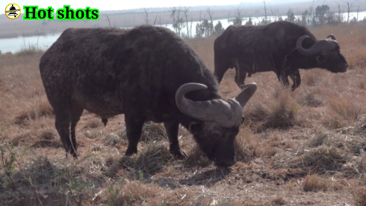 Living in a harsh environment