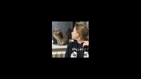 Funny Cats And Dogs Videos *MUST WATCH*