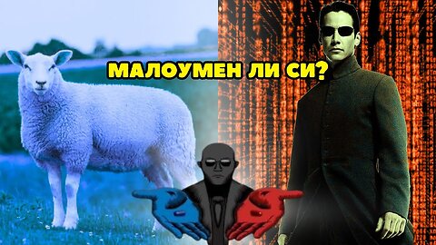NPC ТЕСТ!