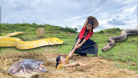 Primitive life ethnic girl catching giant catfish and frogs in the territory of giant python