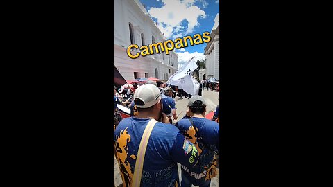 campanas sucre